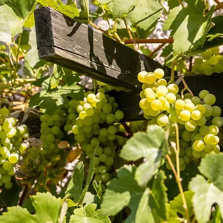 Caloroczny Jaskowa 30 Dom 4 Leleszki