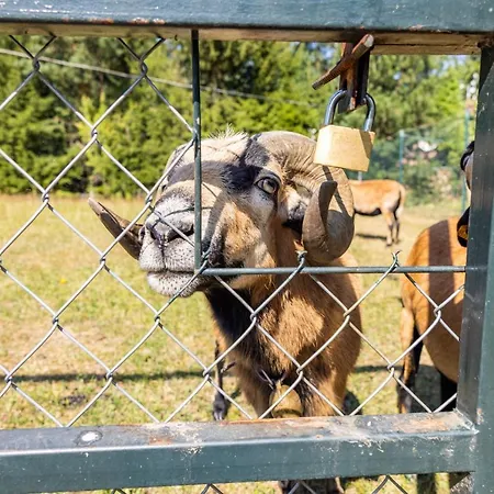 Caloroczny Jaskowa 30 Dom 4 *