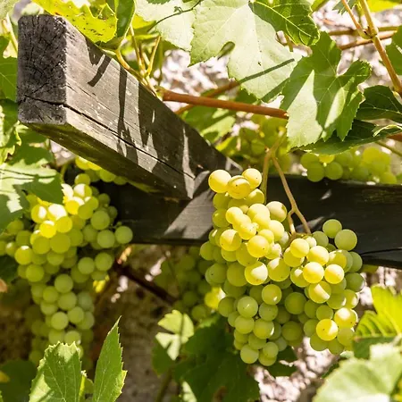 Caloroczny Jaskowa 30 Dom 4 別荘 *